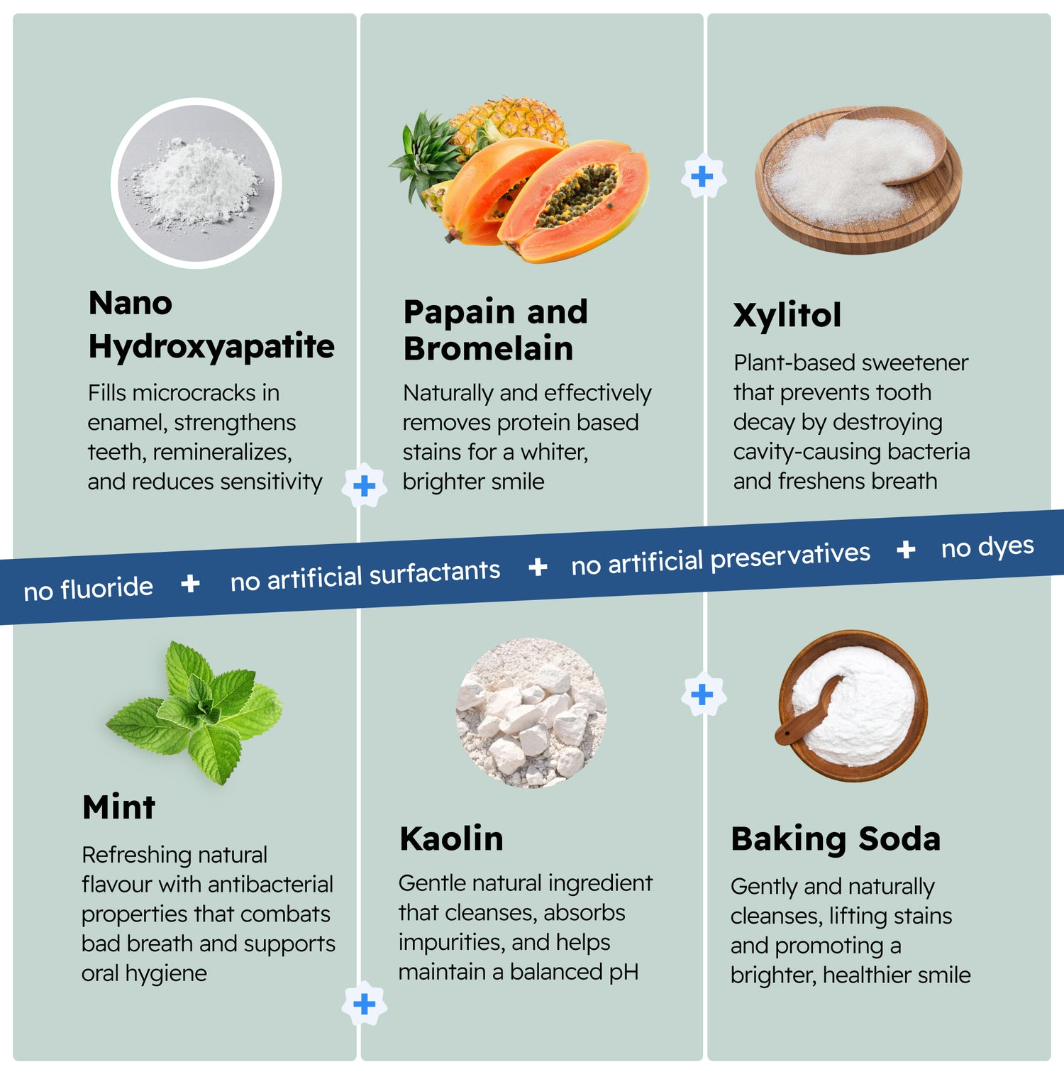 Natural teeth whitening ingredients chart featuring nano hydroxyapatite, papaya, xylitol, mint, kaolin clay, and baking soda with benefit descriptions and 'no artificial additives' banner