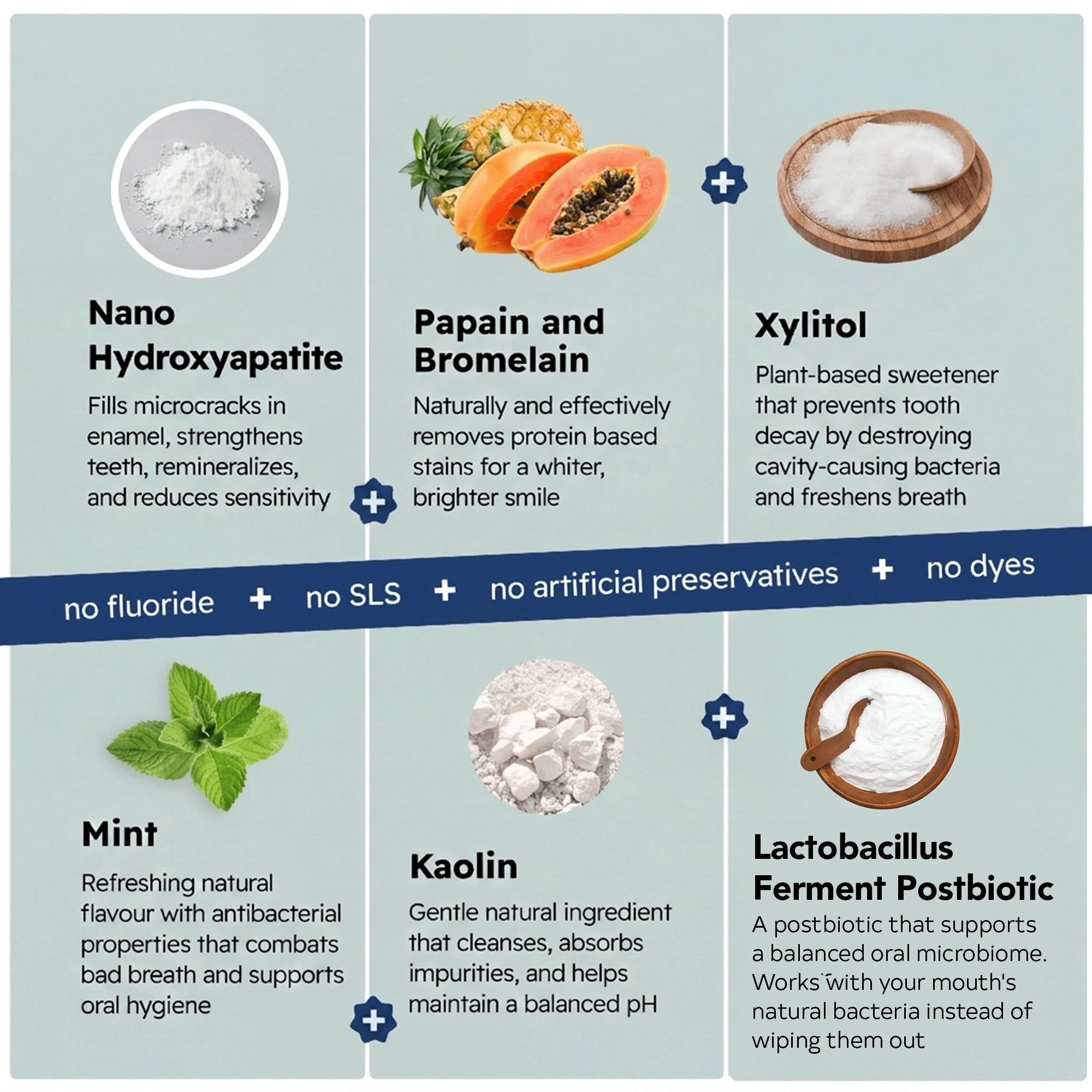 Six-ingredient grid: nano-hydroxyapatite, papain/bromelain, xylitol, mint, lactobacillus postbiotic — no fluoride/SLS/dyes.